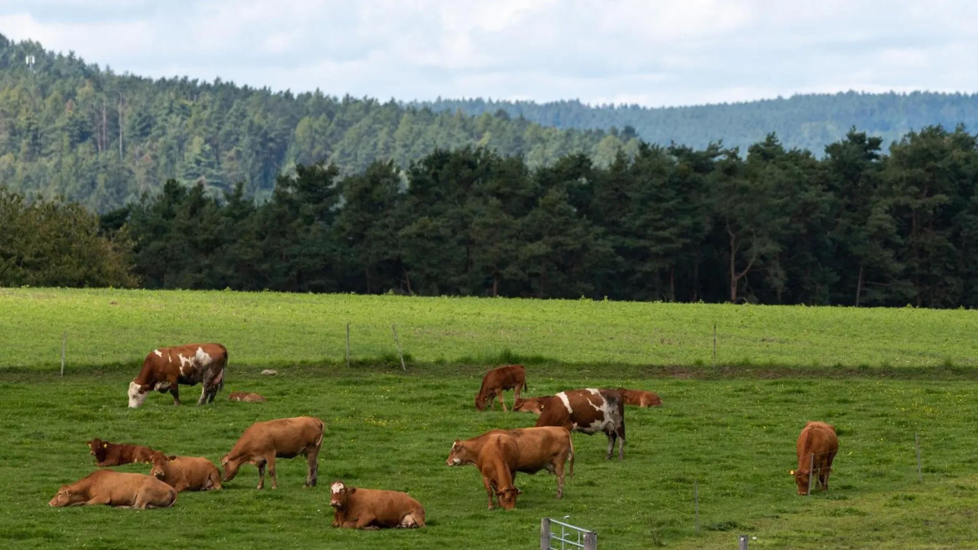 Moderne, Gemuetliche Dg-Wohnung In Ruhiger Lage Neunburg vorm Wald